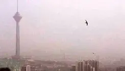 ۵۹ درصد آلایندگی آلودگی هوای تهران مربوط به عوامل متحرک است/ ادعای دروغ انتساب به مسئولان عالی قضایی