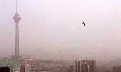 ۵۹ درصد آلایندگی آلودگی هوای تهران مربوط به عوامل متحرک است/ ادعای دروغ انتساب به مسئولان عالی قضایی