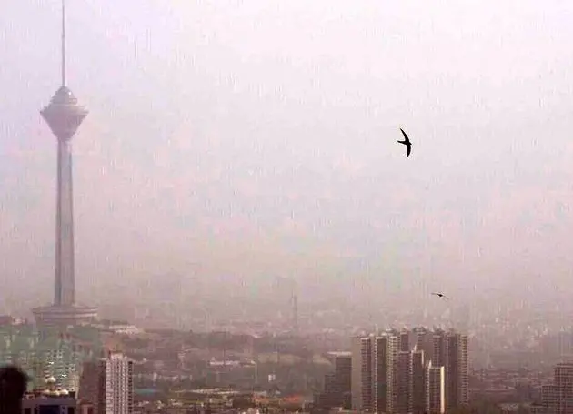 ۵۹ درصد آلایندگی آلودگی هوای تهران مربوط به عوامل متحرک است/ ادعای دروغ انتساب به مسئولان عالی قضایی