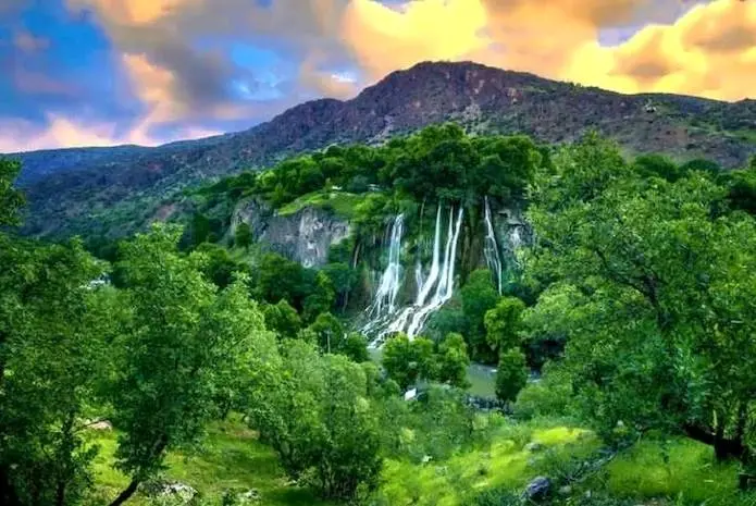 «پاسند» جنگلی گمشده در نزدیکی تهران