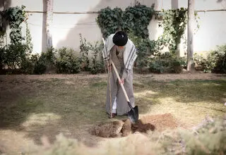 رهبر انقلاب: نهضت ملی درختکاری جدی گرفته شود و ادامه یابد 