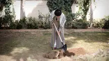 رهبر انقلاب: نهضت ملی درختکاری جدی گرفته شود و ادامه یابد 