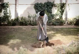 رهبر انقلاب: نهضت ملی درختکاری جدی گرفته شود و ادامه یابد 