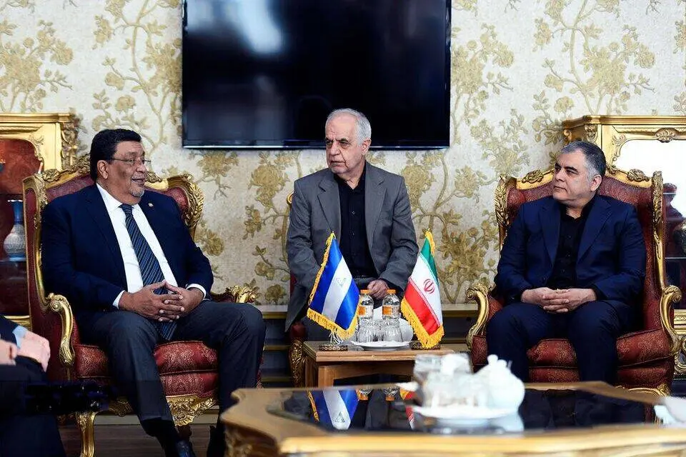 توسعه همکاری‌ها در زمینه‌های اقتصادی در دیدار وزیر نفت با وزیر امور خارجه نیکاراگوئه