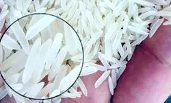 بازار ایران در سیطره برنج پاکستانی 