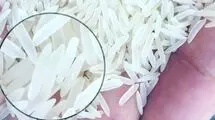 قیمت برنج نرخ مصوب را دور زد!