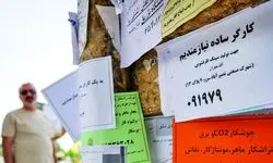 سهم ۵۲.۷ درصدی بخش خدمات در اشتغال؛ کاهش ۱.۱ درصدی نرخ بیکاری جوانان