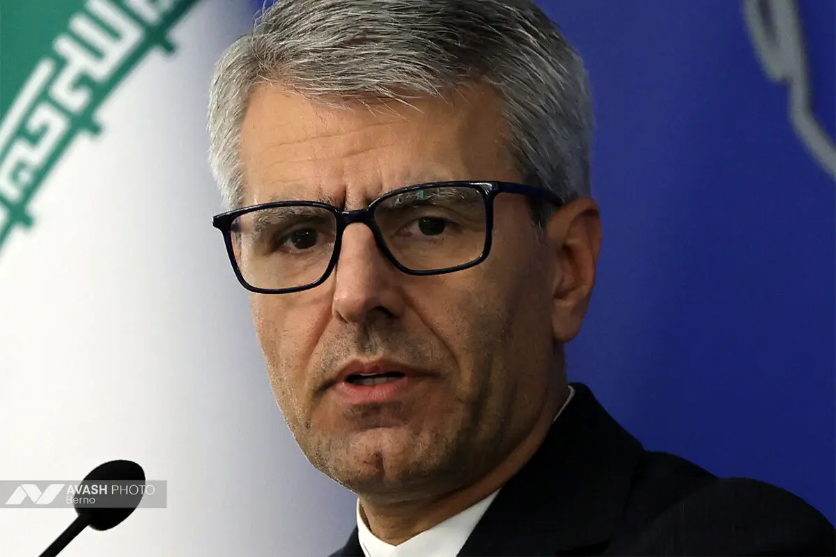 نشست خبری سخنگوی وزارت امور خارجه