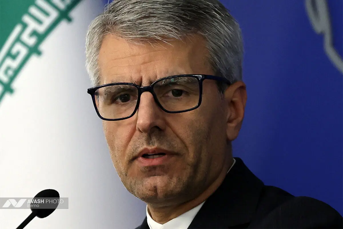 نشست خبری سخنگوی وزارت امور خارجه