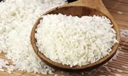 برنج ارزان می‌شود