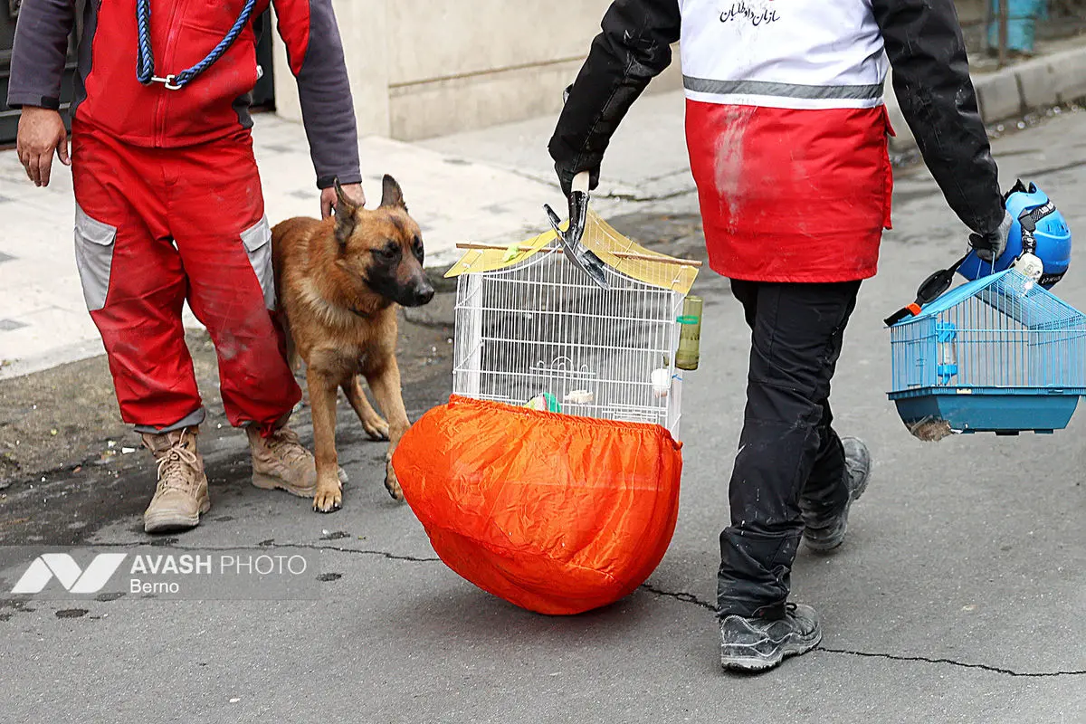 حملات آمریکا و رژیم صهیونیستی به منازل مسکونی در تهران - ۸ فروردین