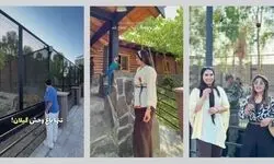 جنجال یک «باغ‌وحش ممنوعه» در منطقه آزاد انزلی/ ارسال پرونده باغ وحش به مراجع قضایی