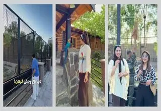 جنجال یک «باغ‌وحش ممنوعه» در منطقه آزاد انزلی/ ارسال پرونده باغ وحش به مراجع قضایی