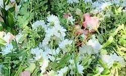 کاوه کاویان به خاک سپرده شد