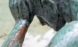 نمایش اشتباه، آسیب بزرگ
