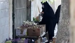 هشدار درباره سوتغذیه و تهدید سلامت نسل آینده/ مصرف لبنیات ایرانیان یک سوم استاندارد جهانی