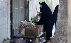 هشدار درباره سوتغذیه و تهدید سلامت نسل آینده/ مصرف لبنیات ایرانیان یک سوم استاندارد جهانی