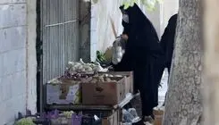 هشدار درباره سوتغذیه و تهدید سلامت نسل آینده/ مصرف لبنیات ایرانیان یک سوم استاندارد جهانی