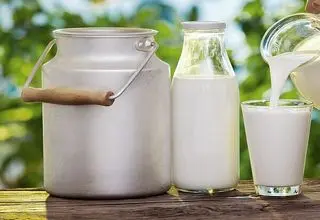 توزیع تمام نهاده‌های دامی از طریق شرکت پشتیبانی امور دام کشور