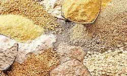 عرضه گوشت با نرخ های بالا ارتباطی به دامدار ندارد