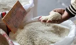 اعلام قیمت انواع اقلام خوراکی؛ انواع برنج و رشته آش گران شدند!