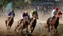 مرگ دلخراش چابک سوار ایران