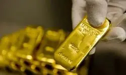 آمار طلایی بورس کالا در هفته دوم شهریور ماه