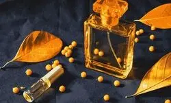 معرفی ۱۰ عطر مردانه مناسب پاییز ۲۰۲۶ با رایحه‌های گرم
