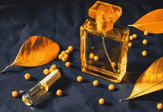معرفی ۱۰ عطر مردانه مناسب پاییز ۲۰۲۶ با رایحه‌های گرم