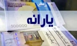 حذف ۱۸ میلیون نفر از سه دهک بالایی جامعه از فهرست یارانه‌بگیران