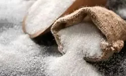 عرضه گسترده شکر در بازار 