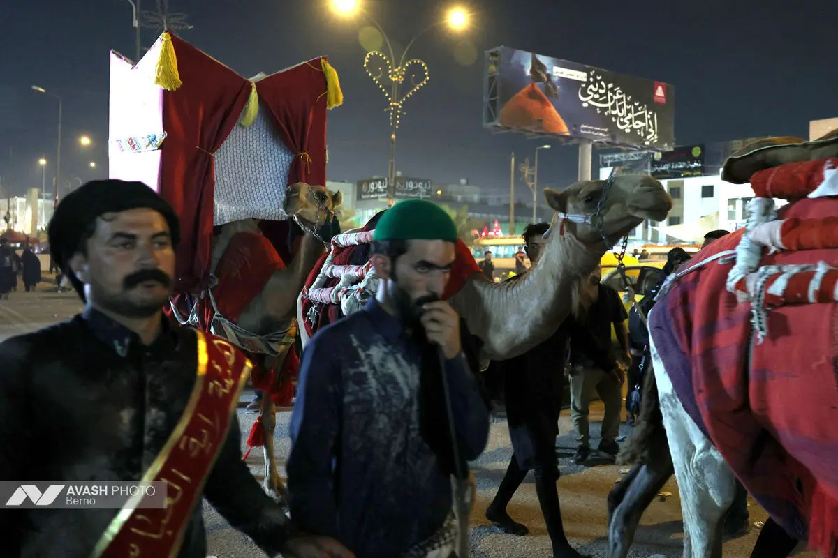 زائران اربعین در مسیر نجف به کربلا