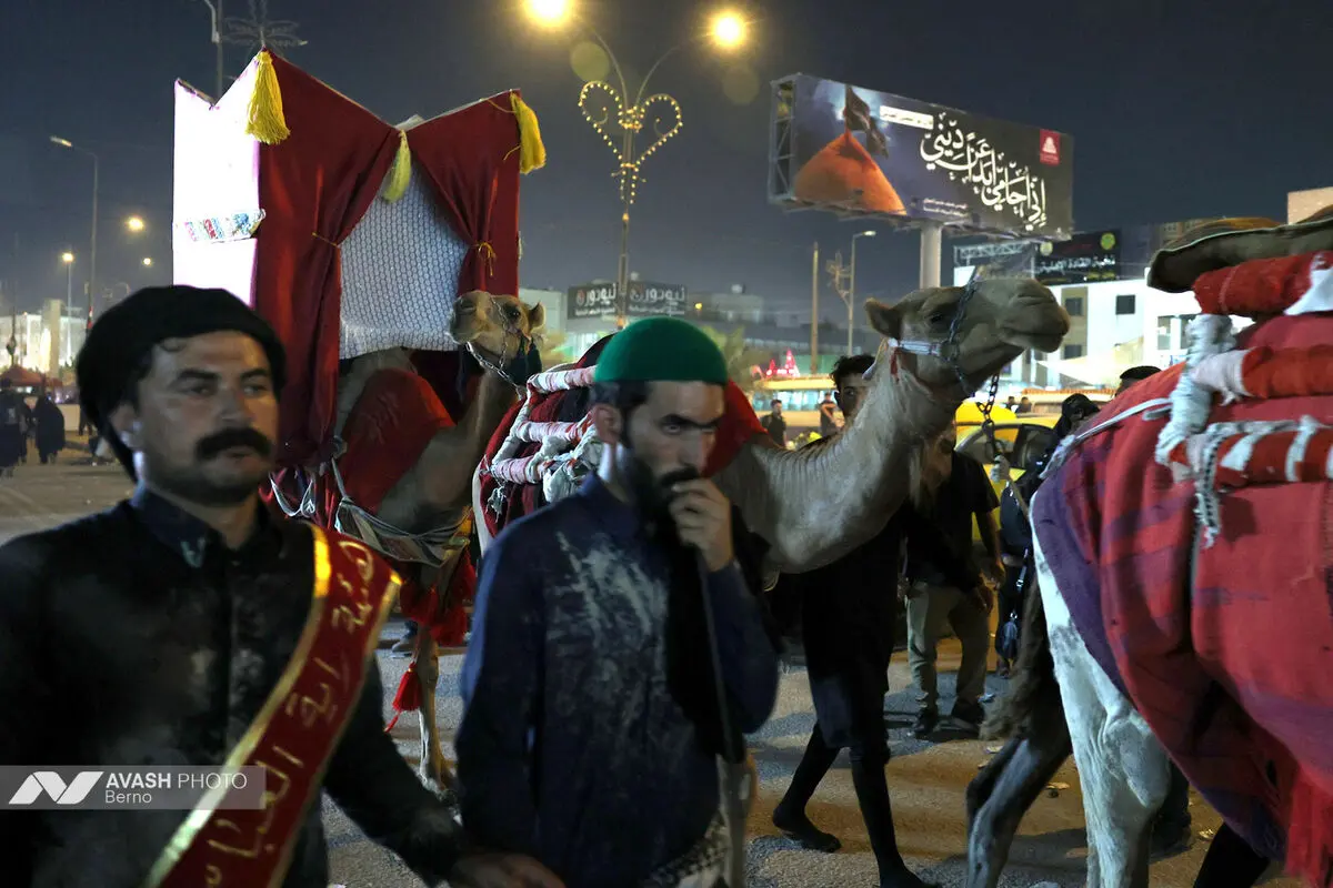 زائران اربعین در مسیر نجف به کربلا