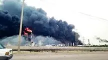 راهکار بقا 