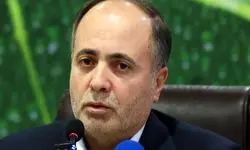 باید قیمت‌گذاری دستوری یا ممنوعیت‌های صادراتی برداشته شود