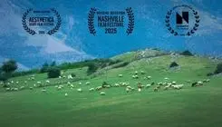 گوسفند، برگزیده جشنواره لس‌آنجلس شد