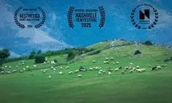 گوسفند، برگزیده جشنواره لس‌آنجلس شد