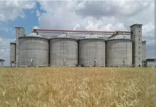 ۱۰۰ همت از مطالبات گندم‌کاران تا هفته آینده پرداخت خواهد شد