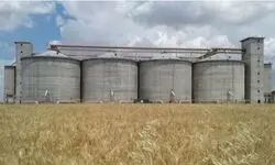 ۱۰۰ همت از مطالبات گندم‌کاران تا هفته آینده پرداخت خواهد شد