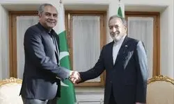دیدار وزیر کشور پاکستان با وزیر امور خارجه کشورمان