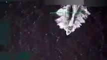 آمریکا سومین شناور ونزوئلایی را نابود کرد