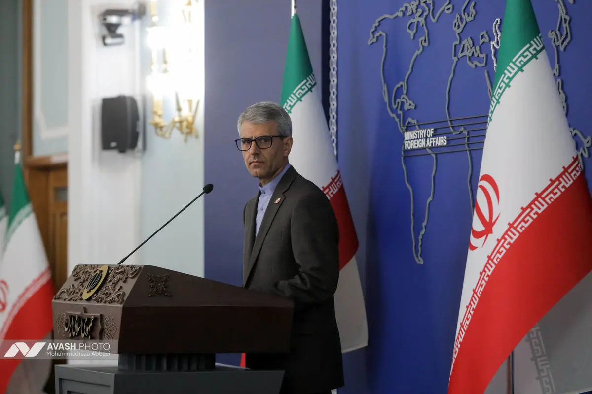 نشست خبری سخنگوی وزارت امور خارجه
