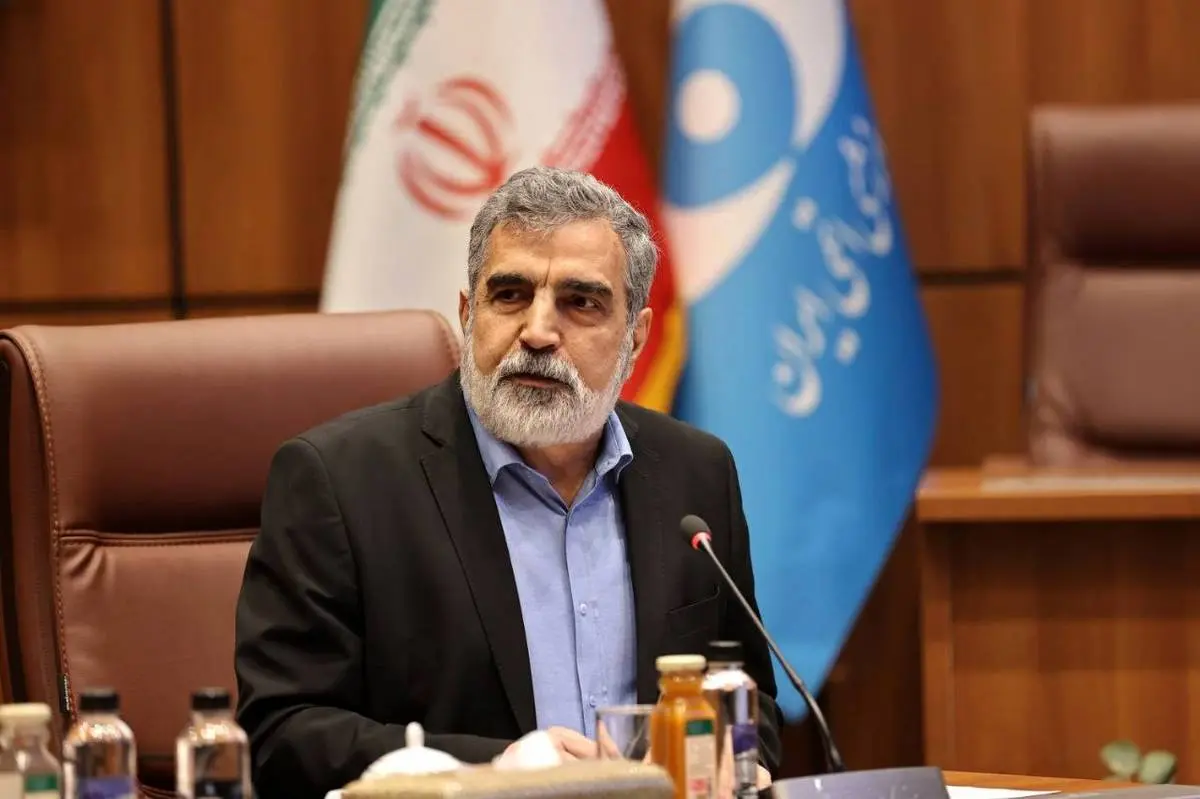 هیچ دارایی و حساب سازمان انرژی اتمی در ترکیه مسدود نشده است