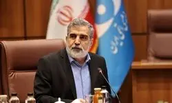 هیچ دارایی و حساب سازمان انرژی اتمی در ترکیه مسدود نشده است