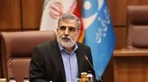 هیچ دارایی و حساب سازمان انرژی اتمی در ترکیه مسدود نشده است