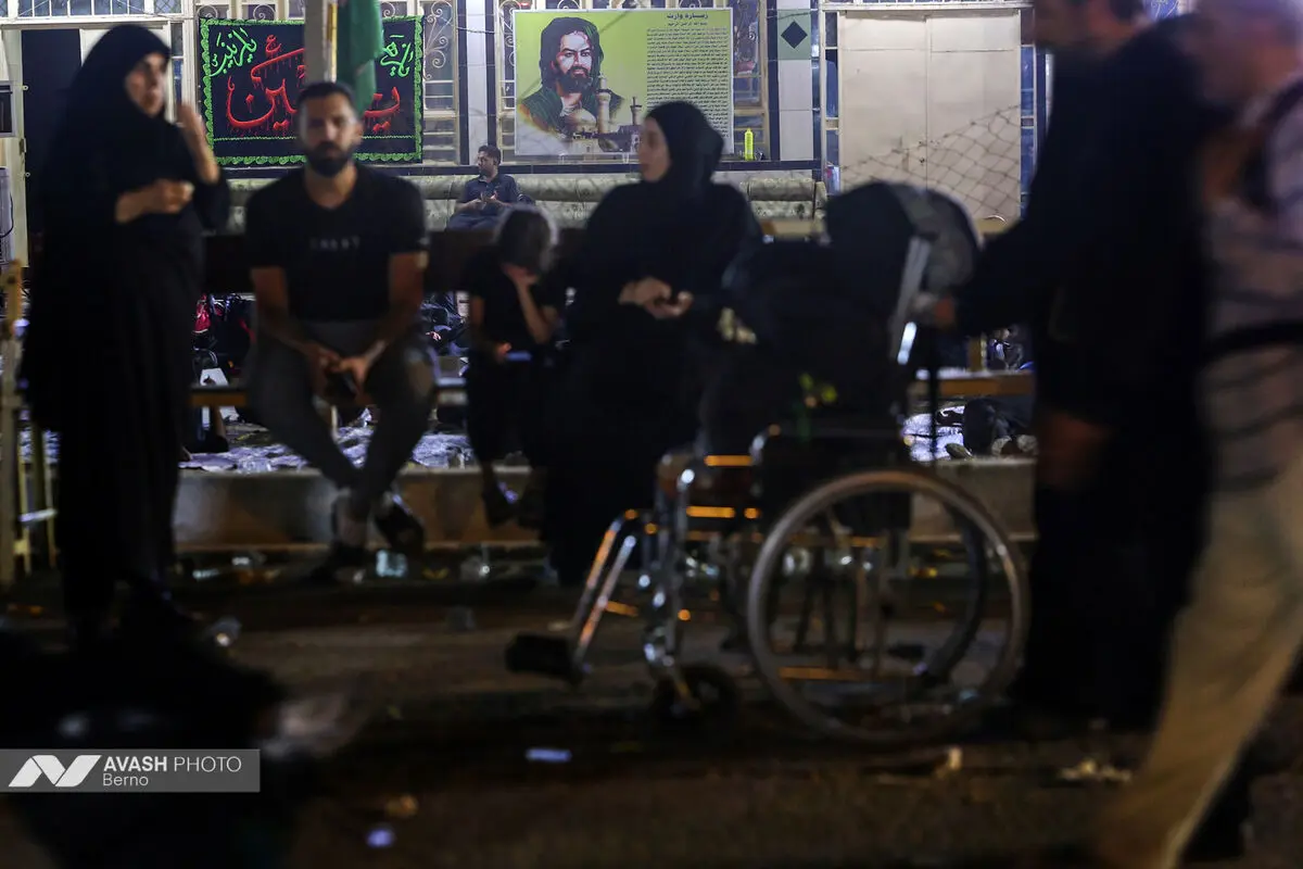 زائران اربعین در مسیر نجف به کربلا