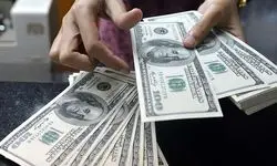 تامین بیش از ۱۸ میلیارد دلار از سوی بانک مرکزی برای واردات کالاهای اساسی و دارو