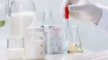 شیر شتر مقوی‌تر است یا شیر گاو؟