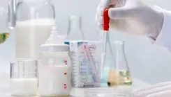 شیر شتر مقوی‌تر است یا شیر گاو؟