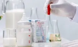 شیر شتر مقوی‌تر است یا شیر گاو؟